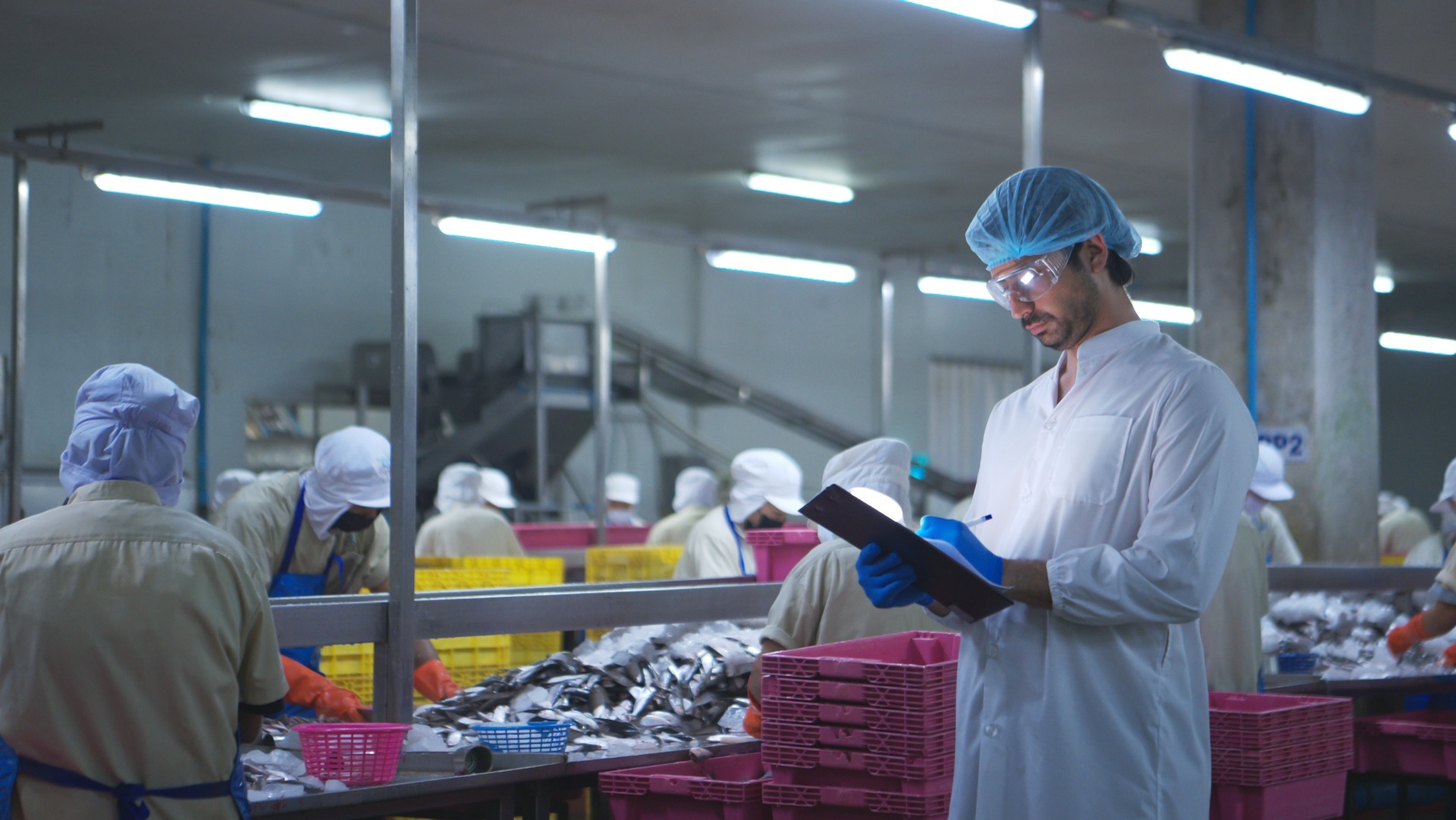 Investing in Scotland`s Seafood Future: Craft Skills Scotland Launches Fish & Shellfish Modern Apprenticeships