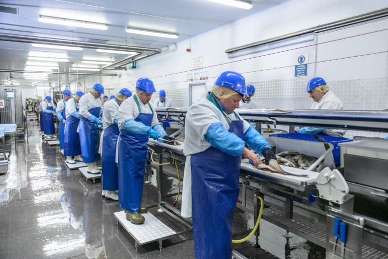 Investing in Scotland`s Seafood Future: Craft Skills Scotland Launches Fish & Shellfish Modern Apprenticeships